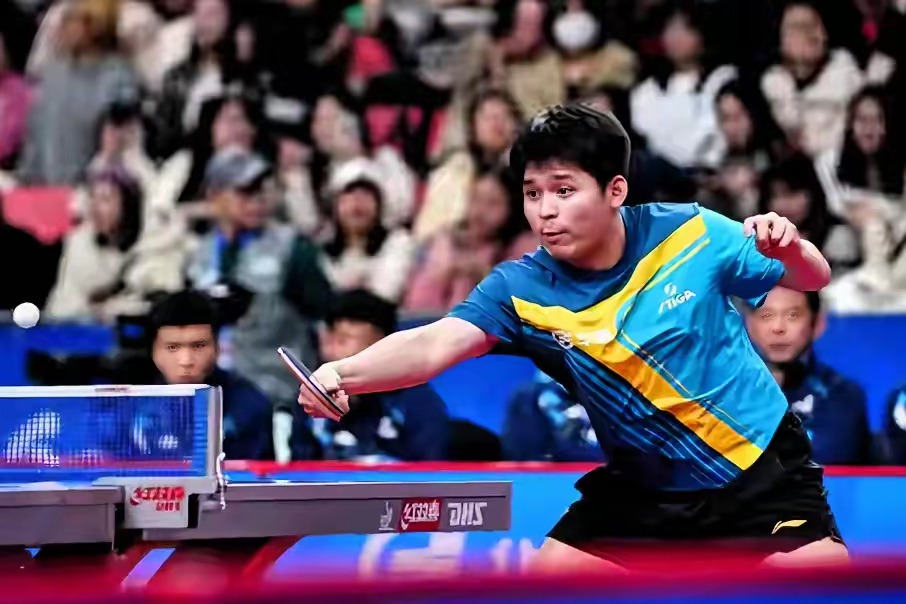 包含英格兰队逆转葡萄牙队，樊振东关键制胜的词条