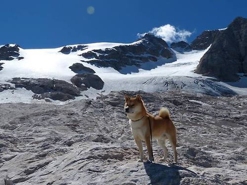 劳塔罗帽子戏法引爆全球！墨西哥3-1强势碾压澳大利亚，美洲狂飙再起