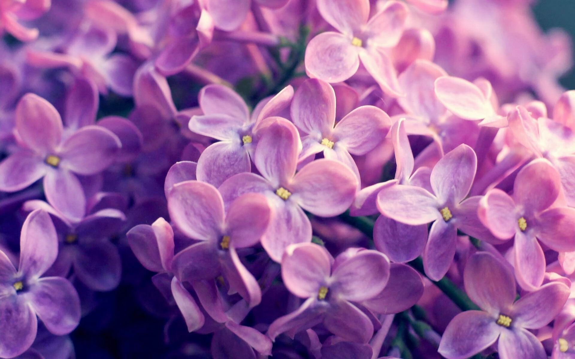 76人客场力压奇才，小贾伦末节独舞引爆逆转悬念