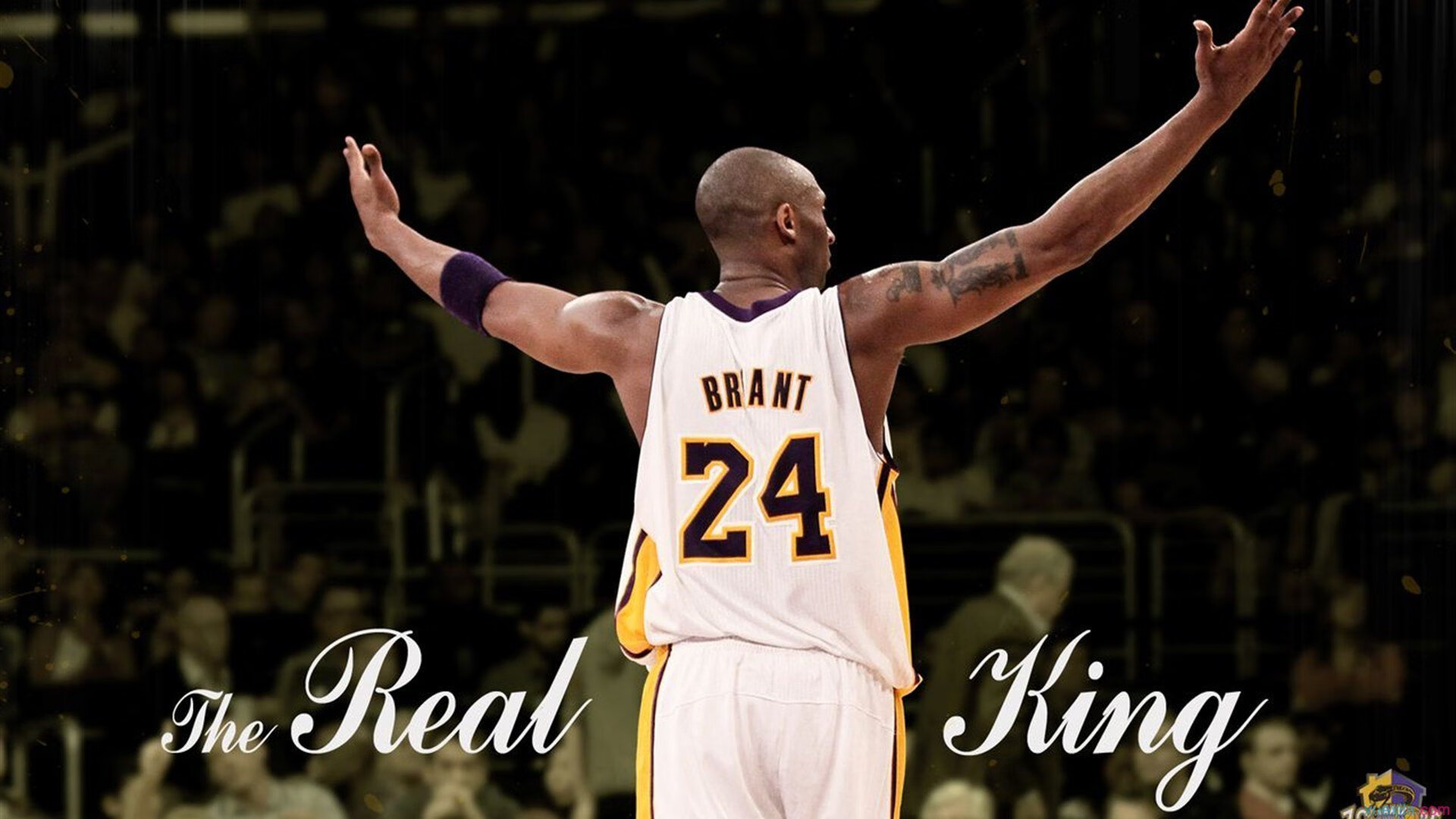 凌空一剑定乾坤！奥利维耶化身北欧风暴眼，击碎荷兰郁金香